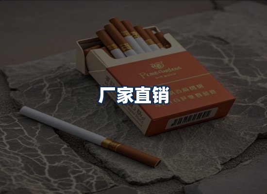 专业团队办公环境